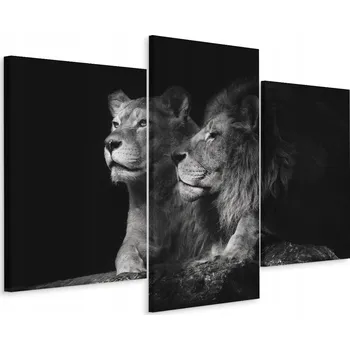 Obraz Obraz Tryptych LEV Lvice Zvířata Dekor 3D 60x40