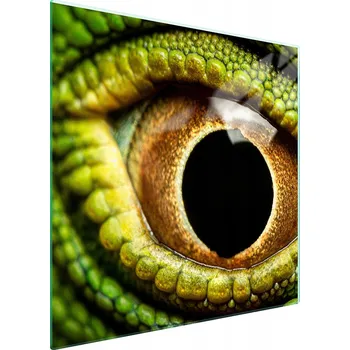 Kuchyňské prkénko Krájecí deska TMK ArtDeko sklo 1 ks