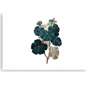 Obraz Obraz plakát do obýváku ložnice 91x61 rostlina foto na zeď bez rámu