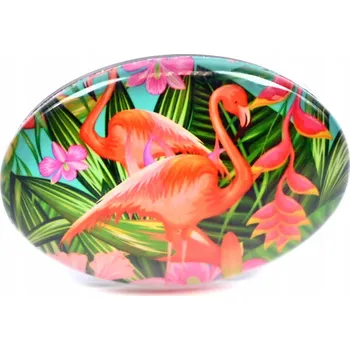 Obraz SKLENĚNÁ NÁSTĚNKA MAGNET S PLAMENÍKY PLAMEŇÁK , DEKORACE NA LEDNIČKU, RŮZNÉ VZORY