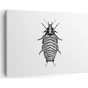 Obraz Obraz na plátně do obýváku ložnice 70x50 hmyz foto obrazy na zeď canvas