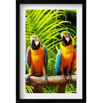 Obraz Nástěnný obraz dekorace interiéru Dva barevní papoušci ara v džungli 40x60 cm