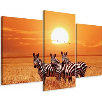 Obraz Obraz Tryptych ZEBRA Západ Slunce 3D Efekt 60x40