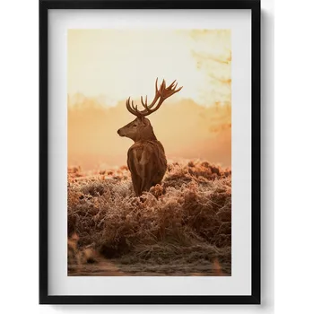 Obraz Obraz v černém rámu na zeď Jelen při východu slunce 50x70 cm