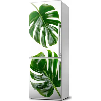 Fototapeta Magnet samolepicí tapeta na ledničku Monstera 60x180