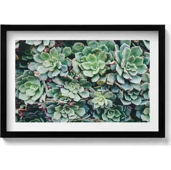 Obraz Nástěnný obraz v černém rámu s grafikou Zelené rostliny sukulenty 60x40 cm