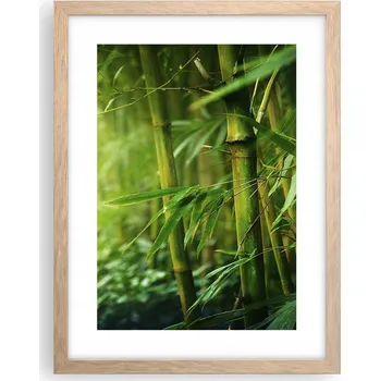 Obraz Obraz plakát v rámu světlý dub do obýváku 30x40 rostlina plakáty na zeď