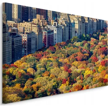 Obraz Obraz Pohled z ptačí perspektivy na CENTRAL PARK 3D 100x70