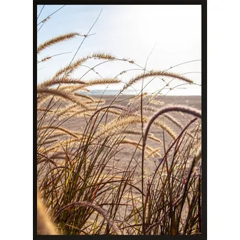 Obraz OBRAZ Dekorativní plakát 40x30 boho obilí tráva DO LOŽNICE OBÝVÁKU