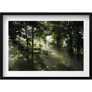 Obraz Nástěnný obraz v černém rámu s grafikou Sluneční paprsky a stromy 70x50 cm