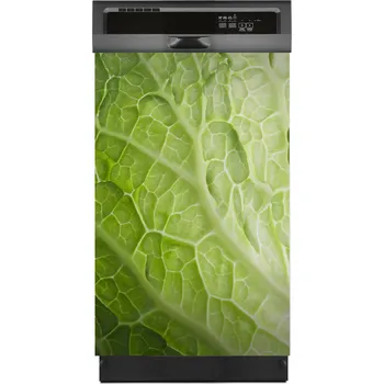 Obraz Magnetická podložka na myčku nádobí List salátu 45x70 cm