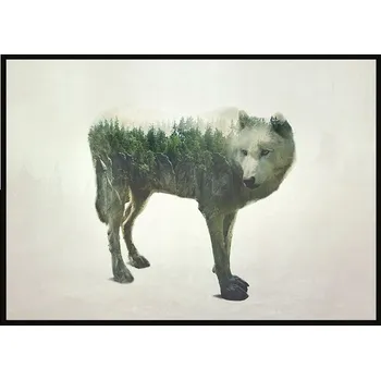 Obraz OBRAZ PLAKÁT V RÁMU 43x33 cm Vlk P1201