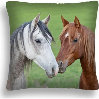 Polštář POLŠTÁŘ S KONĚM 44 ZAMILOVANÝ PÁR JACEK A BARBARA