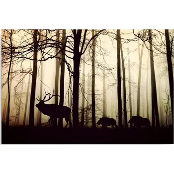 Obraz Obraz na plátně Feeby LK_16711 Zvířata v lese 40x30