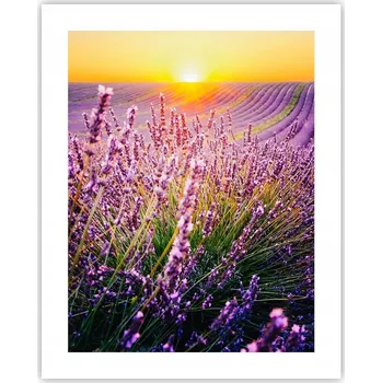 Obraz Obraz plakát na zeď bez rámu 40x50 krajina plakáty do obýváku ložnice