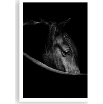 Obraz Plakát na zeď bez rámu 70x100 kůň foto-obraz plakáty do obývacího pokoje ložnice