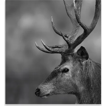 Kuchyňské prkénko Skleněná Ochranná Deska a Krájecí Prkénko | Indukce, Sporák ds-0204