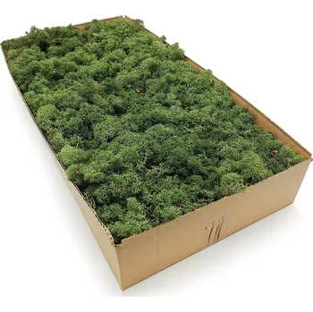 Obraz 500g CHROBOTEK sobí mech Zelený Norský