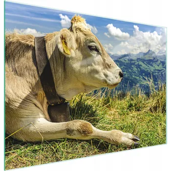 Kuchyňské prkénko Krájecí deska TMK ArtDeko sklo 1 ks