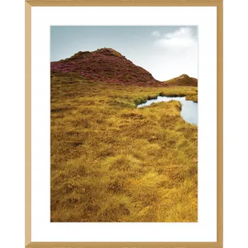 Obraz Dekoria Obraz Travnaté pole I 40x50cm