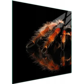 Kuchyňské prkénko Krájecí deska TMK ArtDeko sklo 1 ks