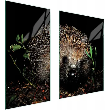 Kuchyňské prkénko Krájecí deska TMK ArtDeko sklo 2 ks