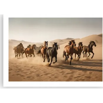 Obraz Plakát bez rámu do obýváku, ložnice 70x50 koně moderní módní obraz