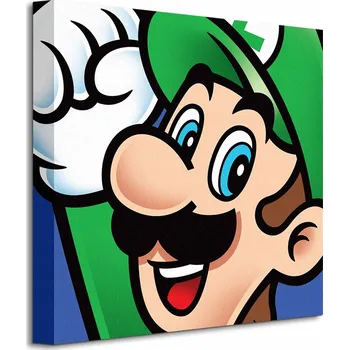 Obraz 40x40 cm Super Mario (Luigi) - Obraz na plátně
