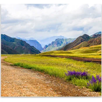 Kuchyňské prkénko Skleněná Ochranná Deska a Krájecí Prkénko | Indukce, Sporák ds-0498