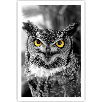 Obraz Obraz plakát do obýváku ložnice 61x91 cm ptáci foto plakáty na zeď bez rámu