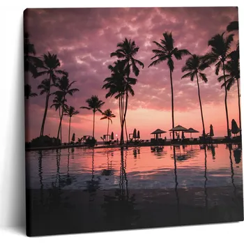 Obraz Fotoobraz na zeď na plátně do kanceláře Hobby Palmy na Havaji 60x60 cm