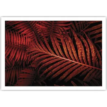 Obraz Plakát na zeď bez rámu 100x70 abstrakce obraz plakáty obývací pokoj ložnice