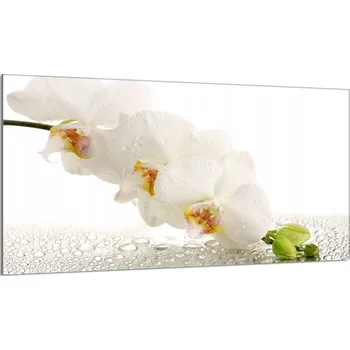 Obraz Krájecí deska TMK ArtDeko sklo 1 ks