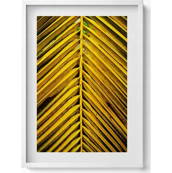 Obraz Obraz v bílém rámu na zeď do obýváku Listy rostliny 50x70 cm