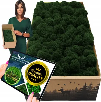 Obraz Sobí mech CHROBOTEK finský 500g Dekorativní PREMIUM tmavě zelený