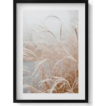 Obraz Dekorativní nástěnný obraz do pokoje Jemné trávy v boho stylu 50x70 cm