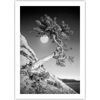 Obraz Plakát bez rámu do obýváku ložnice 50x70 krajina moderní módní obraz