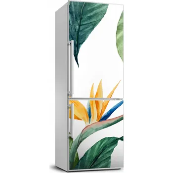 Fototapeta Fólie na lednici Strelicie královská na míru