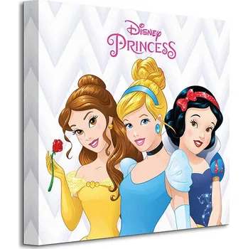 Obraz Disney Princezny - Obraz na plátně 40x40 cm