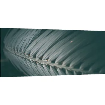 Obraz Foto obraz na plátně canvas 100x40 botanika obývací pokoj ložnice na zeď velký