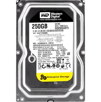 Interní pevný disk Pevný disk Western Digital RE3 250GB SATA II 3,5"