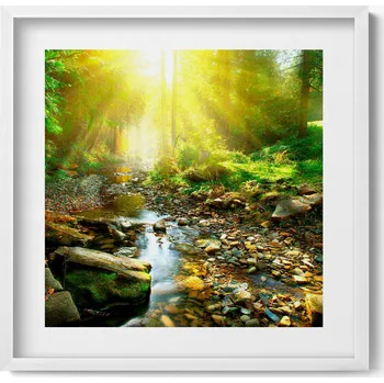 Obraz Obraz v bílém rámu na zeď Lesní potůček v slunečních paprscích 50x50 cm