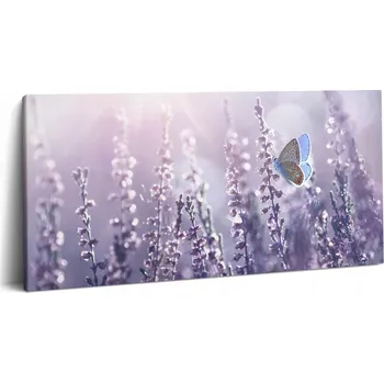 Obraz Obraz na Plátně Canvas do Obýváku Stylový Dárek Motýl na Lučních Květinách