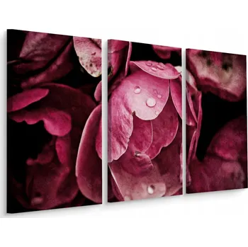 Obraz Obraz Triptych PIVOŇKY Květiny zblízka 3D 60x40