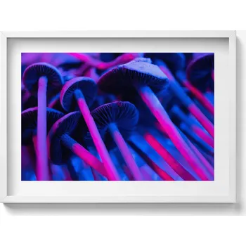 Obraz Elegantní obraz do obýváku v bílém rámu Magické barevné houby 70x50 cm