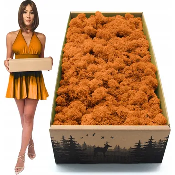 Obraz Mech Chrobotek sobí NORWESKÝ dekorativní OZDOBNÝ živý oranžový