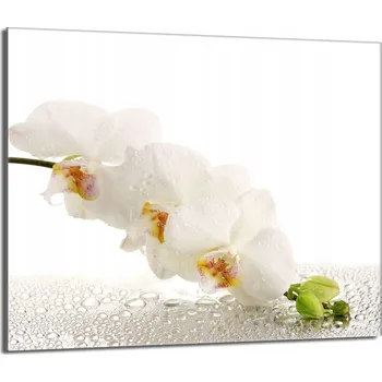 Kuchyňské prkénko Krájecí deska TMK ArtDeko sklo 1 ks