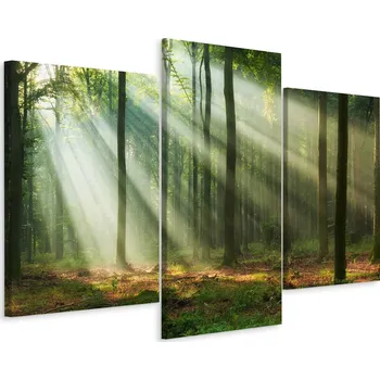 Obraz Nástěnný obraz Triptych LES Stromy Krajina 3D 90x60