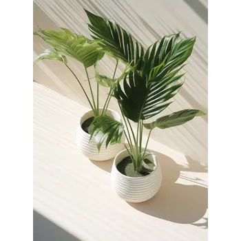 Plakát Plakát Obrysy květináčů bez rámu 40 x 55 cm