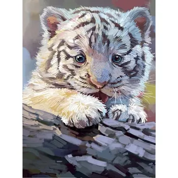 Obraz Obraz MALOVÁNÍ PODLE ČÍSEL S RÁMEM v sadě 50x40 Tygr Tygřík